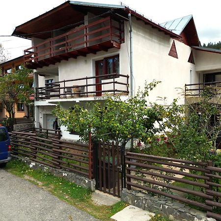 Vila Nik Busteni Luaran gambar