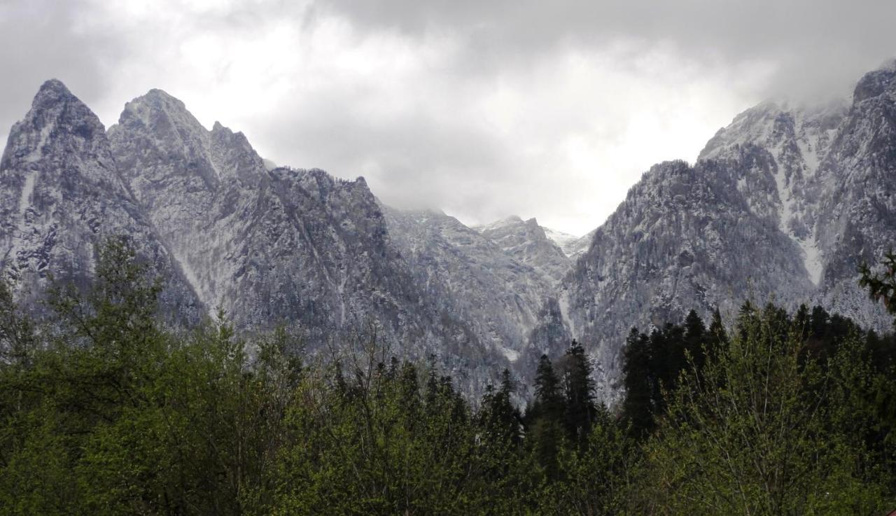 Vila Nik Busteni Luaran gambar